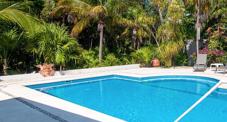 SPOTLIGHT: La Palapa at Blue Ivy in Puerto Morelos