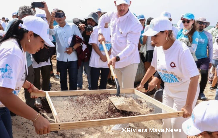 How Mexico's Beach Cleanup Protects Your Investment