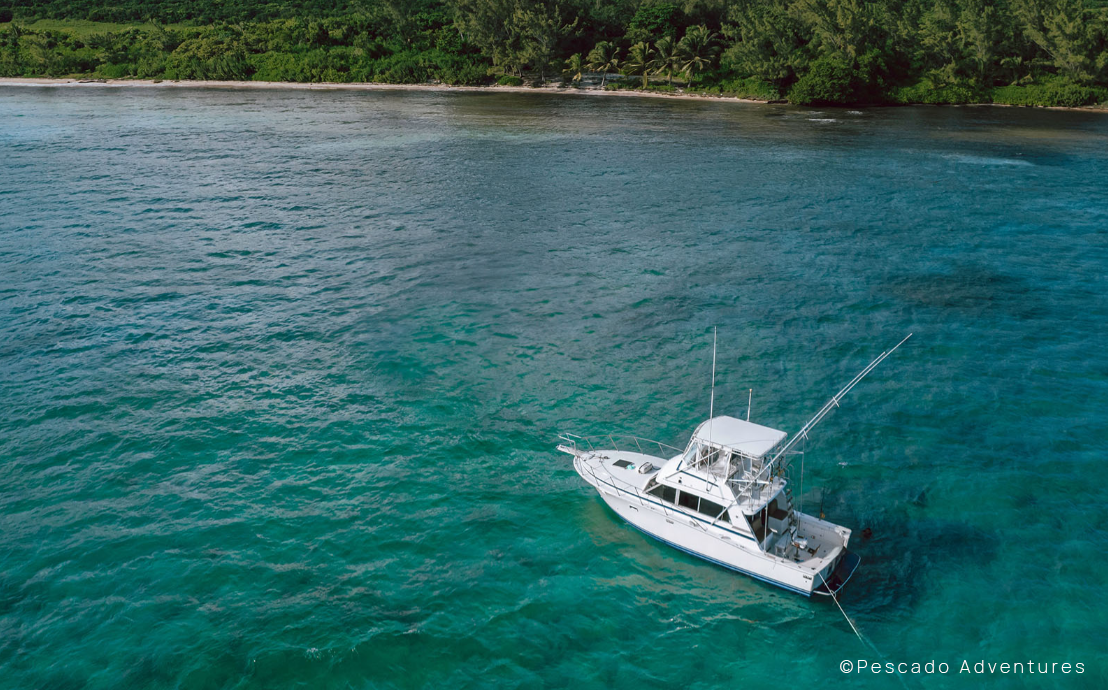 Best Fishing Charters in Playa del Carmen - 2025 Guide